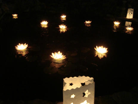 Floating Flower Lanterns in pond