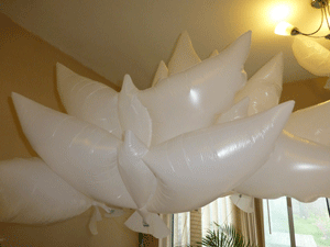Dove Balloons